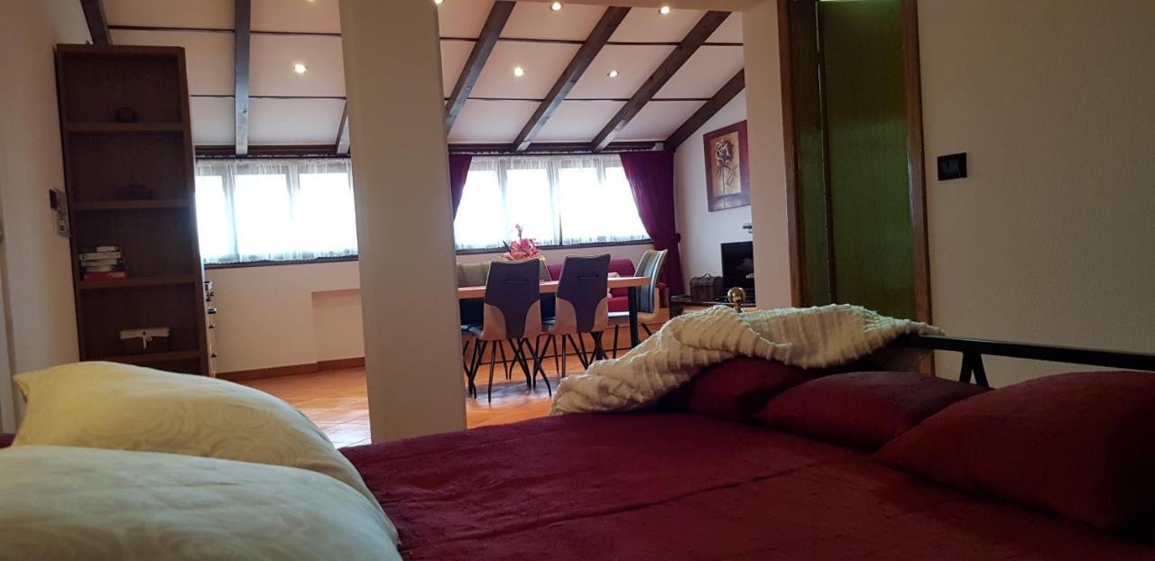 רוביני Apartmens Alenka מראה חיצוני תמונה